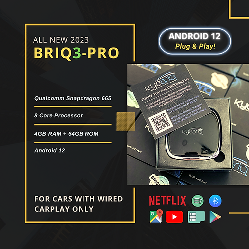 BRIQ3-PRO